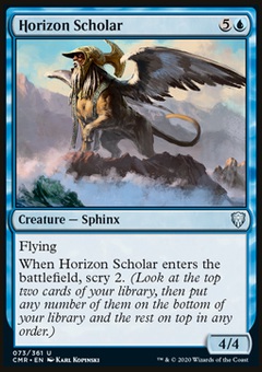 Horizon Scholar